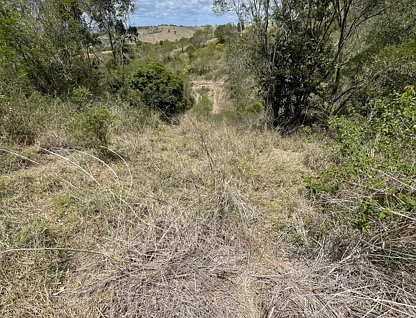 LOT 5 Mercer Springate Road, Nanango, Darling Downs, 0 rūma, 0 rūma horoi, Section
