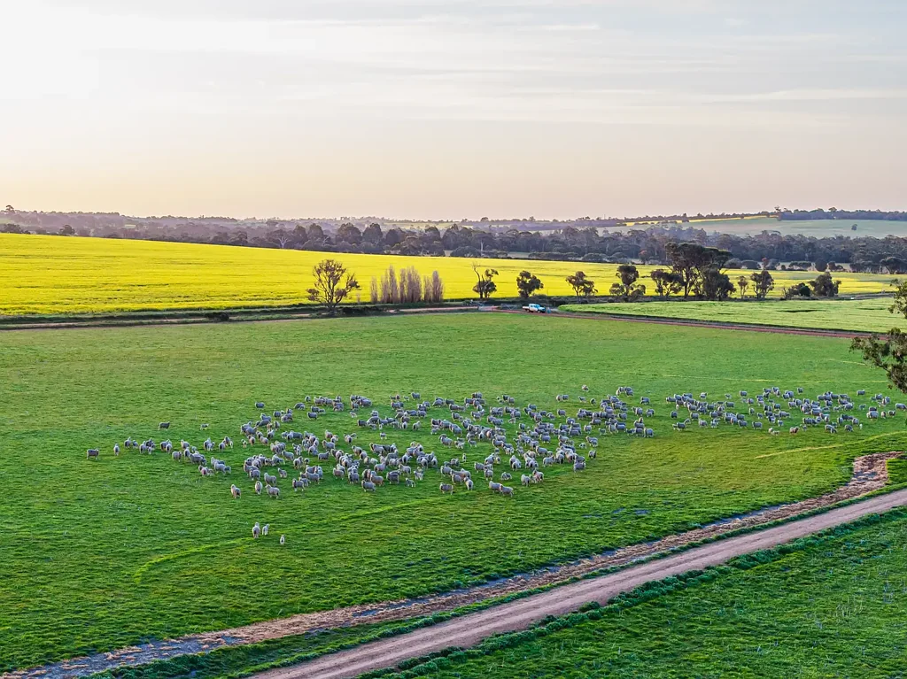 Kendenup  🌾 “Chinenup” – Premium Mixed Farming Opportunity