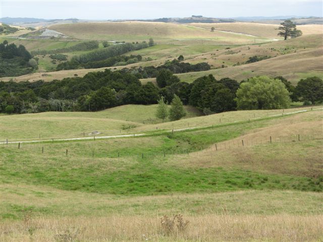 Syd Smith Road, Oruawharo, Kaipara, 0 habitaciones, 1 baños