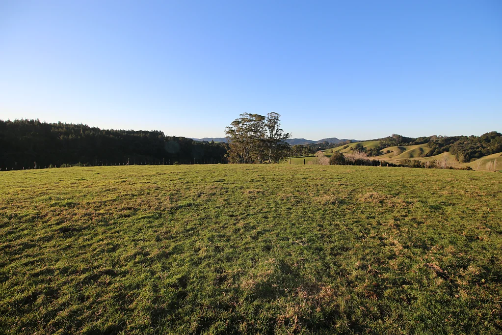 Pakaraka Quality Rural Lifestyle Blocks
