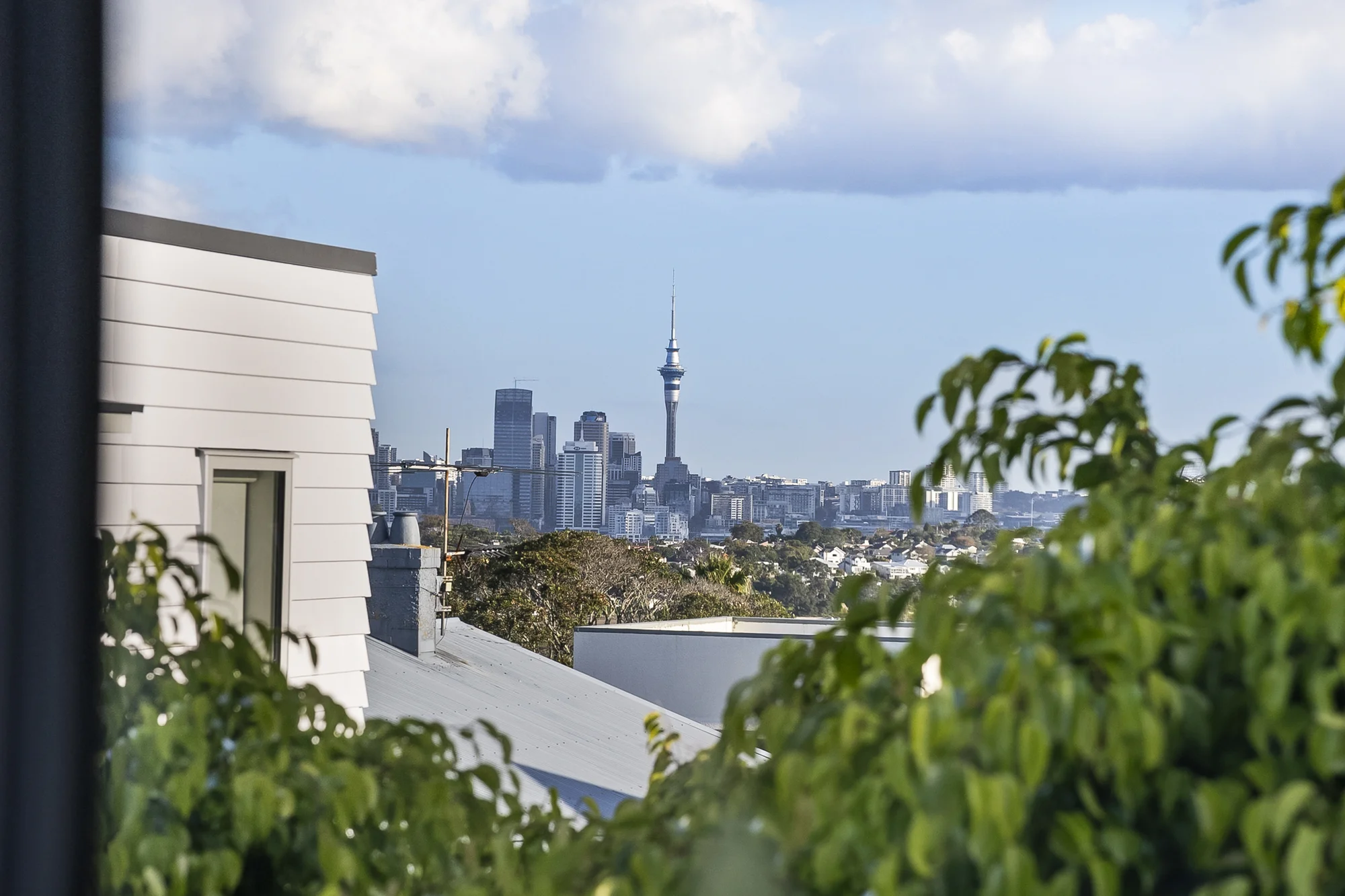 Hauraki 3Moenga A UNIT UNLIKE THE OTHERS!