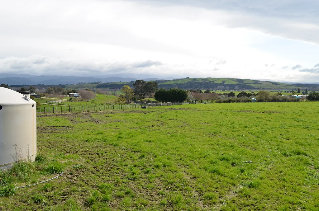 Carterton  Quintessential Wairarapa