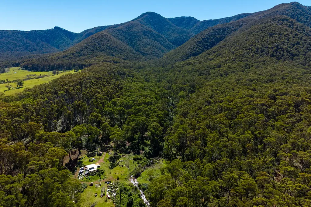 137 Yankees Gap Firetrail, Bemboka, NSW 2550