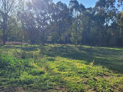 5 Rowe Street, Mansfield, VIC 3722, 0房, 0浴, Section