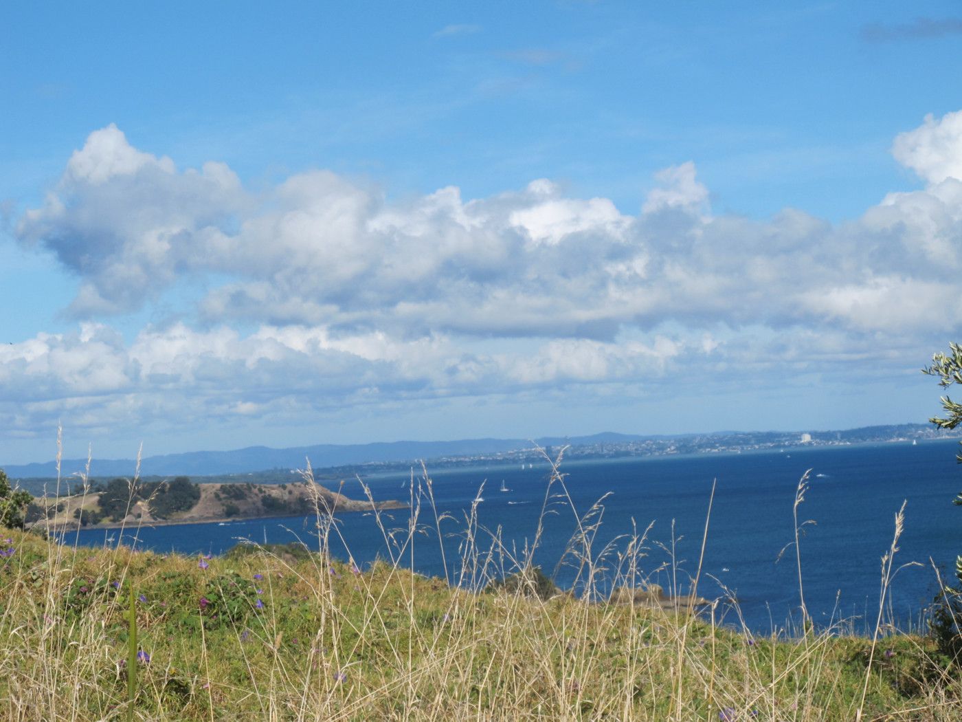 Hauraki Gulf Islands