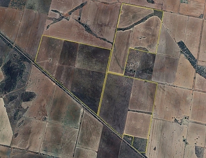 'Boree Glen' 456 Whymarks Lane, Tullibigeal, Riverina, 0 침실, 0 욕실, Lifestyle Property
