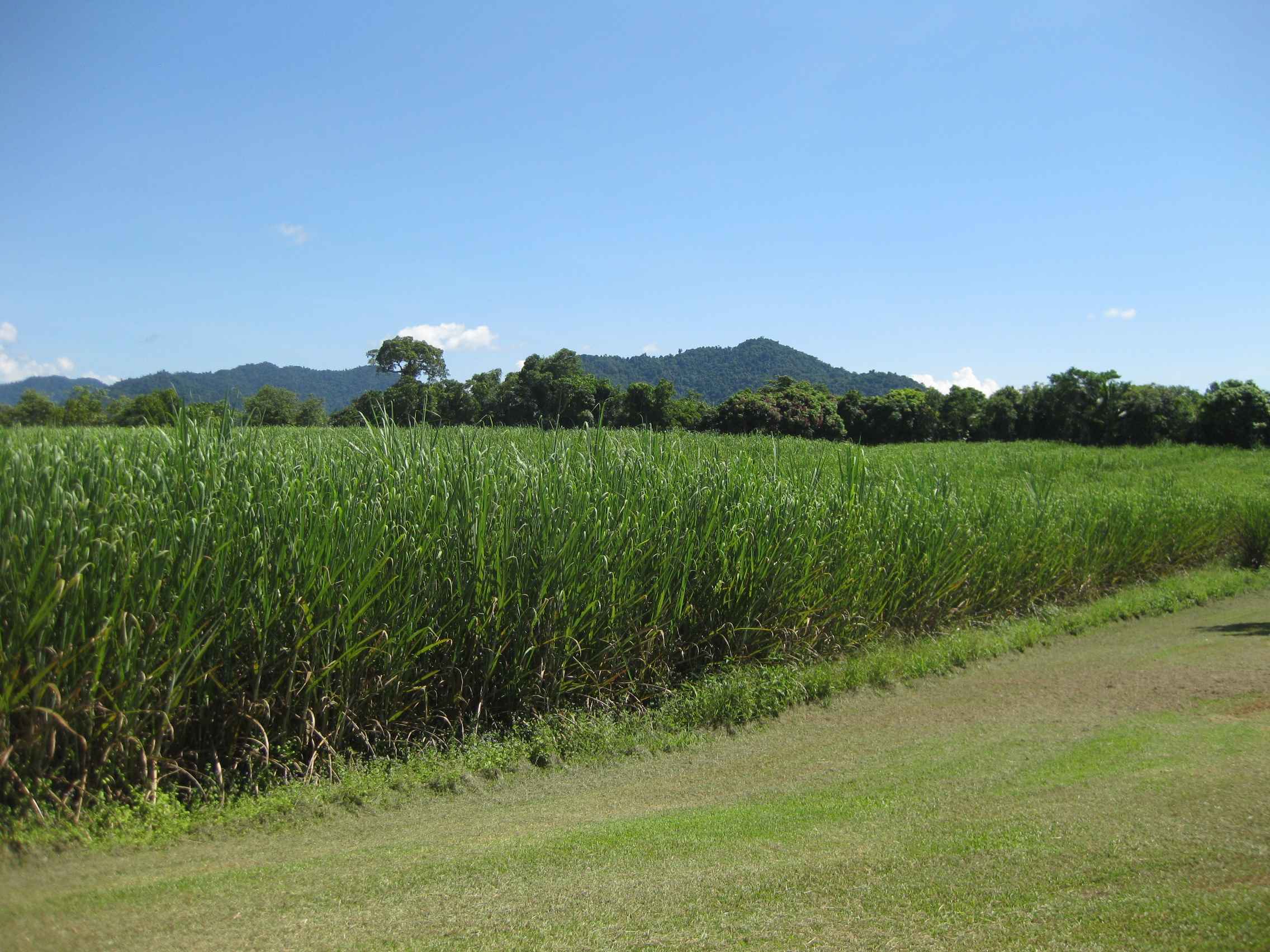 1136 SILKWOOD - JAPOON RD, JAPOONVALE QLD 4856, 0 રૂમ, 0 બાથરૂમ, Lifestyle Property