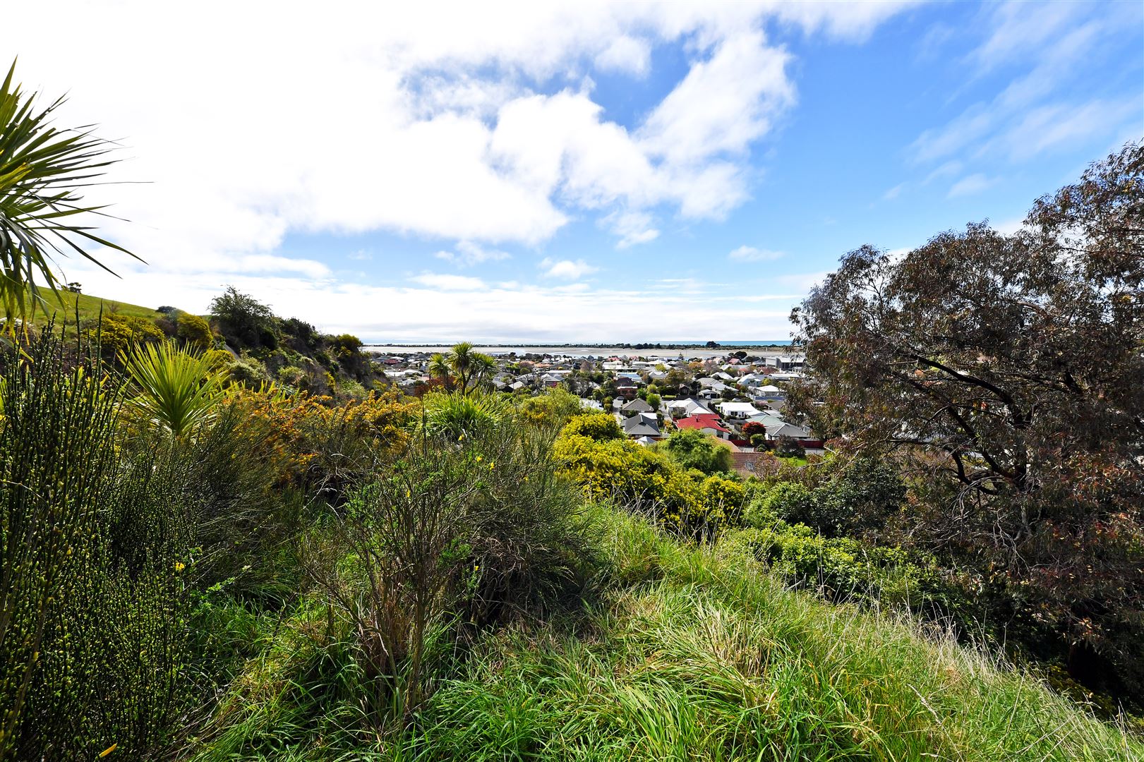 11 Egnot Heights, Redcliffs, Christchurch, 2 રૂમ, 1 બાથરૂમ