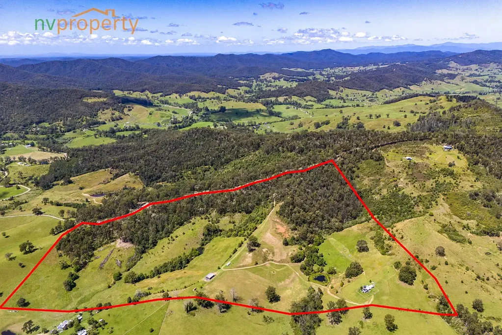 99 Whip Mountain Road, Yarranbella, NSW 2447