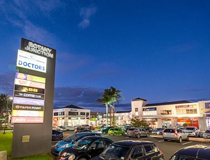 31 Henry Maxwell Way, Flat Bush, Manukau City, 3 Kuwarto, 3 Banyo, Townhouse