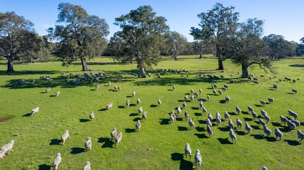Wannon LIFESTYLE ON ACREAGE - GRAZING AND WILDLIFE