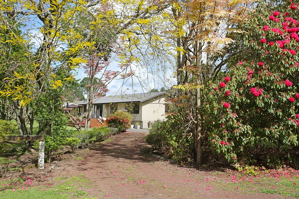Pollok Where the Tui Play