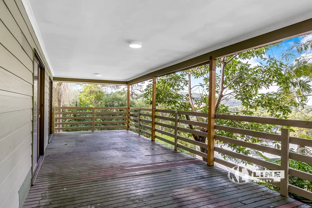 Home in the Treetops!