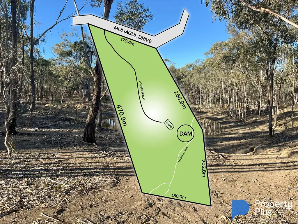 Moliagul Secure your Future with this Rural Allotment of 20 Acres
