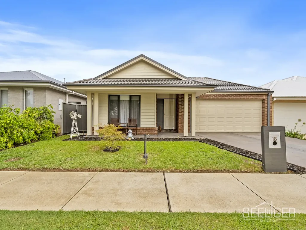 A Light-Filled Stunner in the Heart of Silverwoods