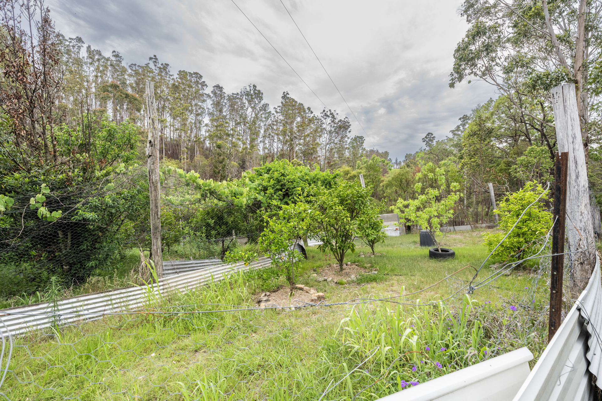 531 GLENS CREEK RD, NYMBOIDA NSW 2460, 0 રૂમ, 0 બાથરૂમ, Lifestyle Property