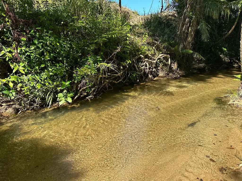 Feluga  Internal permanent sandy Creeks on a 12.452 ha Lifestyle or Farming acreage near Tully with Shed & Equipment