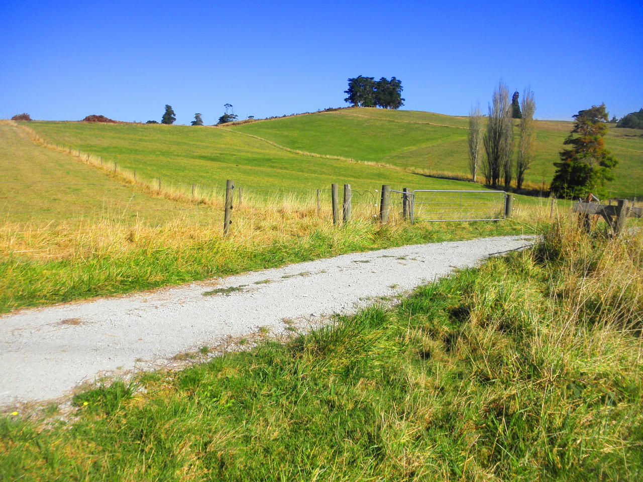 Becroft Road, Wellsford, Auckland - Rodney, 0 Bedrooms, 0 Bathrooms