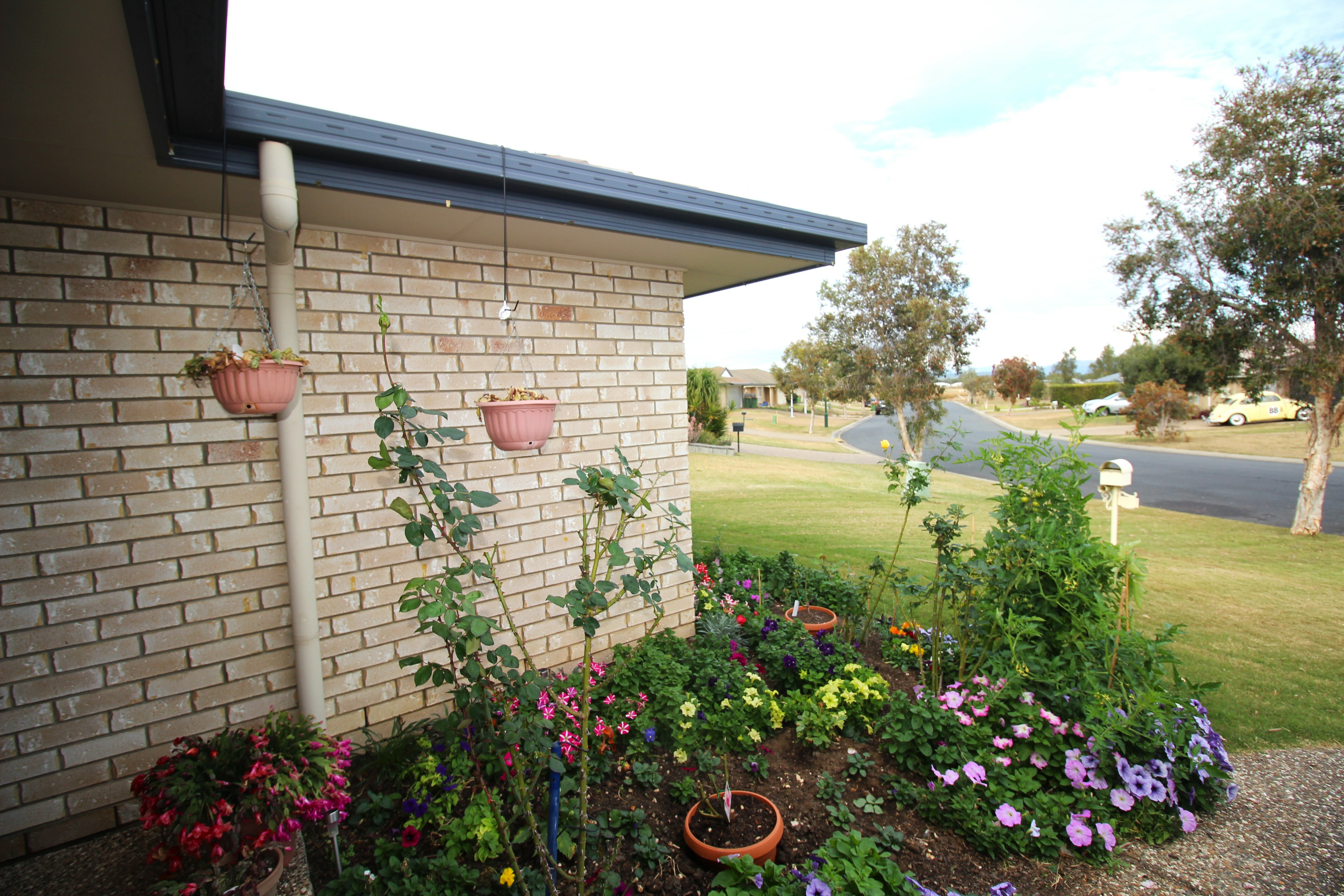 39 CUNNINGHAM AV, LAIDLEY NORTH QLD 4341, 0房, 0浴, Lifestyle Property