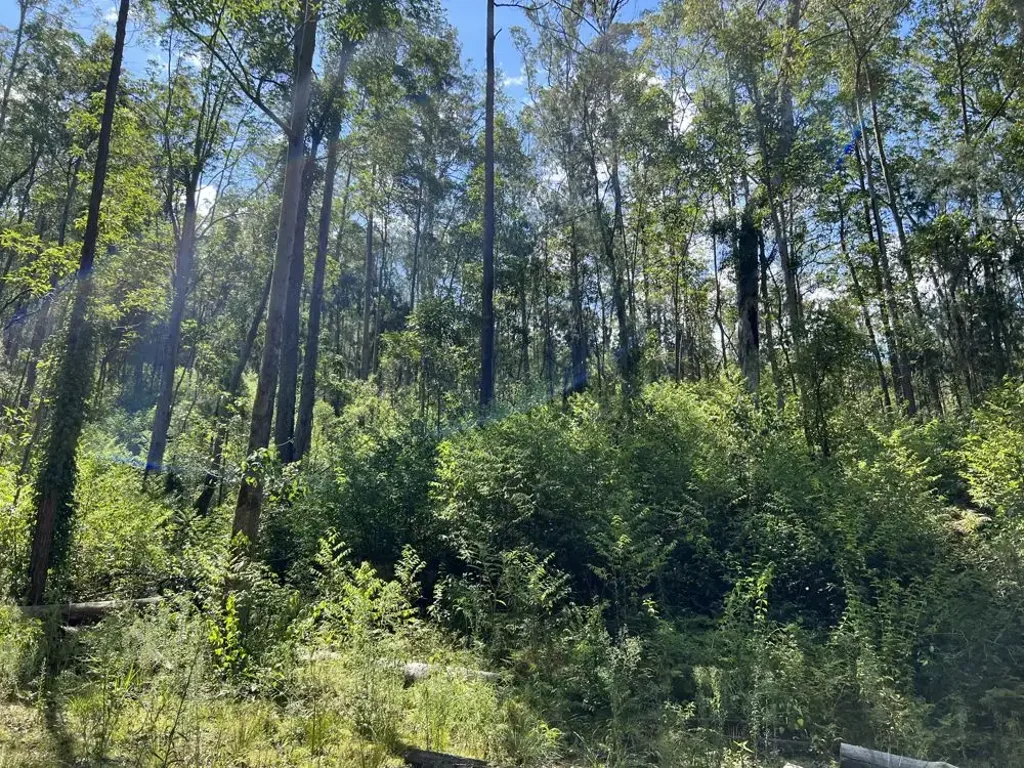 Comara  PERFECT WEEKEND GETAWAY