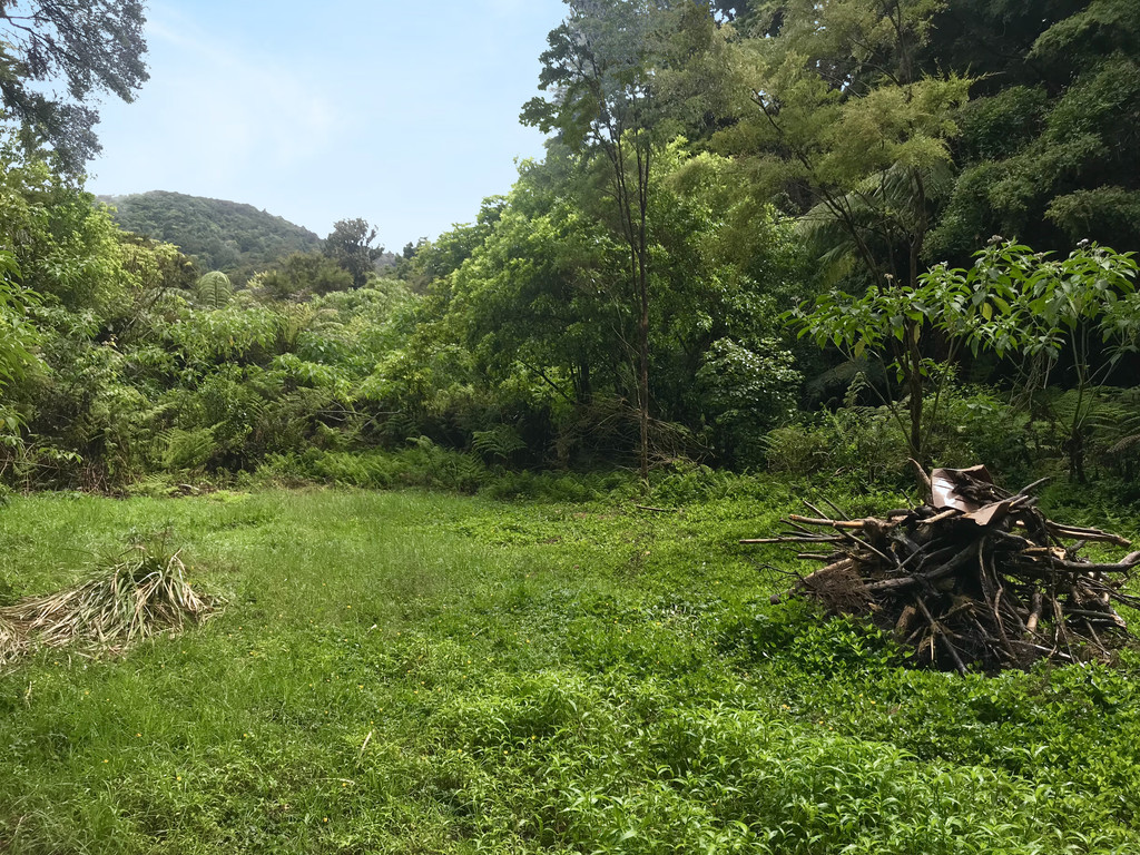 Owhiwa Road, Parua Bay, Whangarei, 0房, 1浴