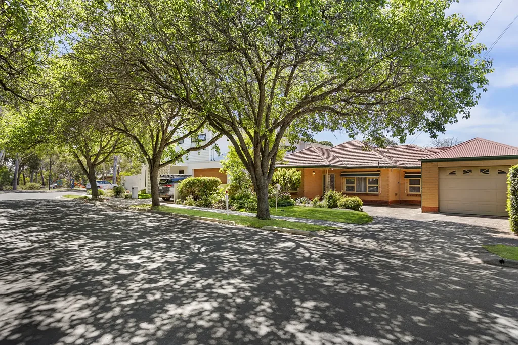 Lockleys 4房  Prime Linear Park Frontage with Limitless Potential