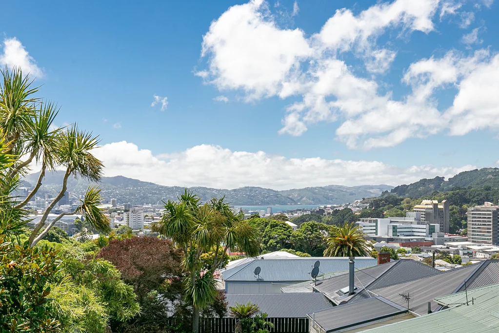 7 Torquay Terrace, Newtown, Wellington