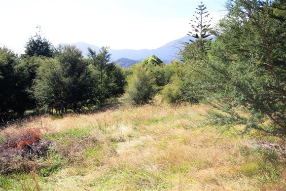 4 Worlds End Road, Tennyson Inlet, Marlborough, 0 Kuwarto, 0 Banyo