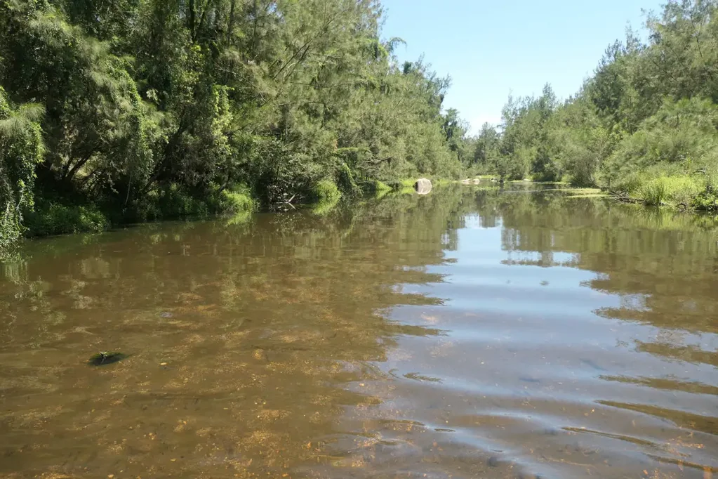Rocky River BUY A FARM