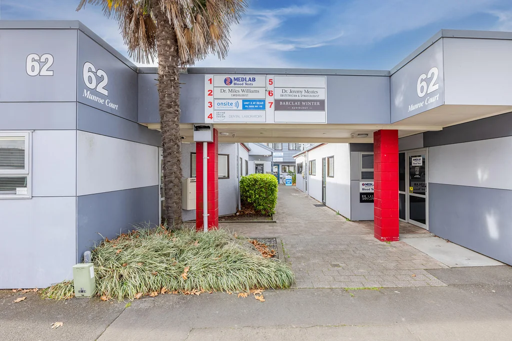 Napier South 80sqm office, medical or professional unit