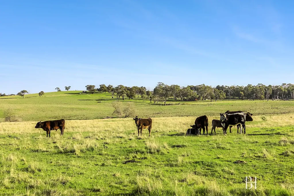 Bylands 1房  A Golden Lifestyle or Landbank Opportunity