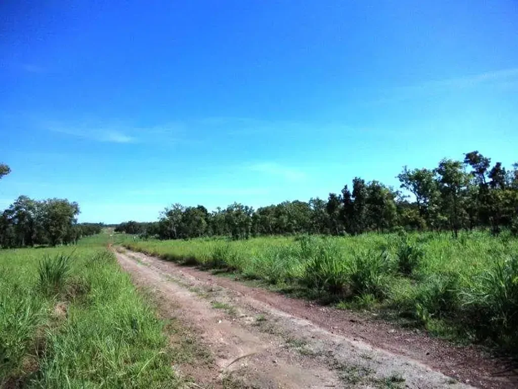 Batchelor 309 -320 Acres just waiting for you and only 10 minutes to Batchelor