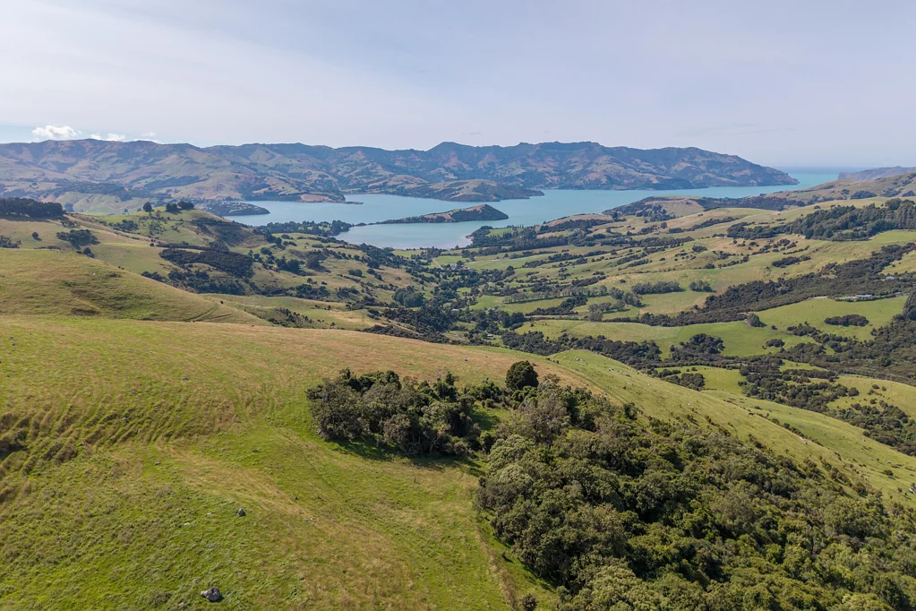 Duvauchelle Peninsula paradise providing privacy and security