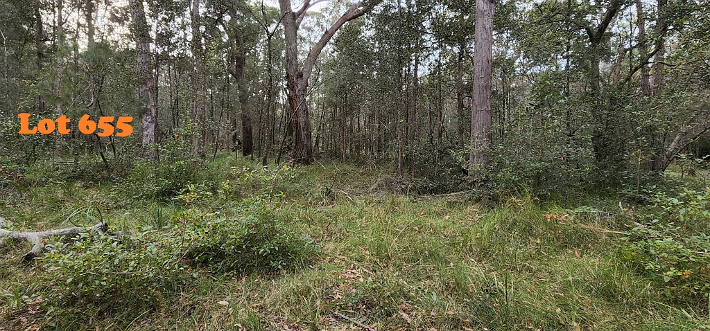 Basin View Bush Blocks