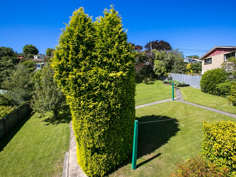 5 Grey Street, North East Valley, Dunedin, 0 rūma, 1 rūma horoi