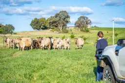 Canowindra Road, Cowra