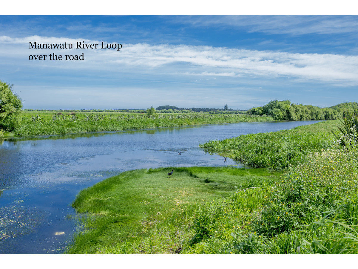 28 Harbour Street, Foxton, Horowhenua, 0房, 0浴