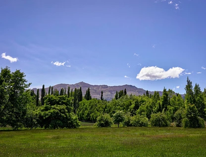 8/188 Domain Road, Dalefield/Wakatipu Basin, Queenstown, 0 habitaciones, 0 baños, Lifestyle Section