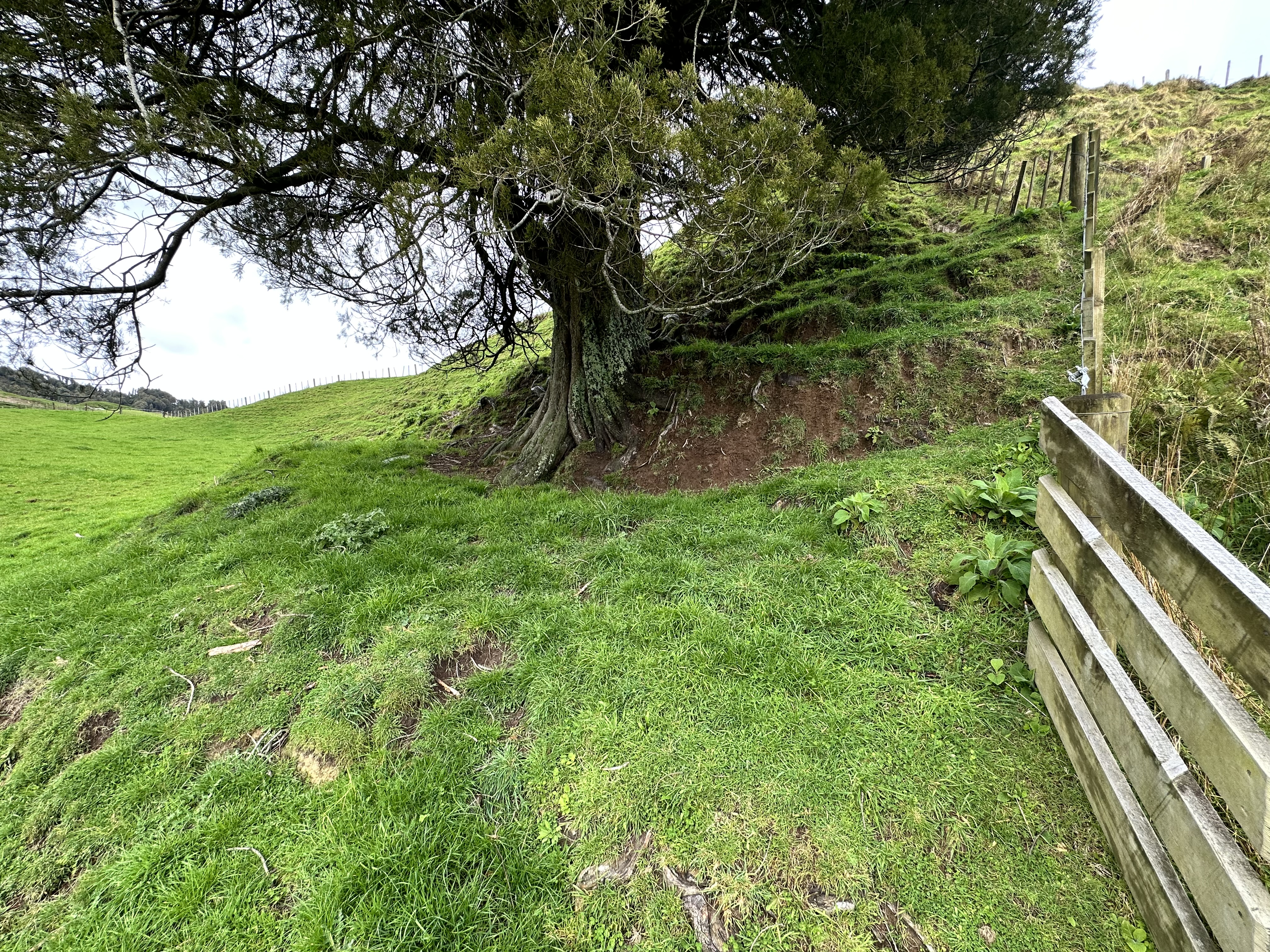 Okoki Road, Urenui, New Plymouth, 0 ห้องนอน, 1 ห้องน้ำ, Unspecified