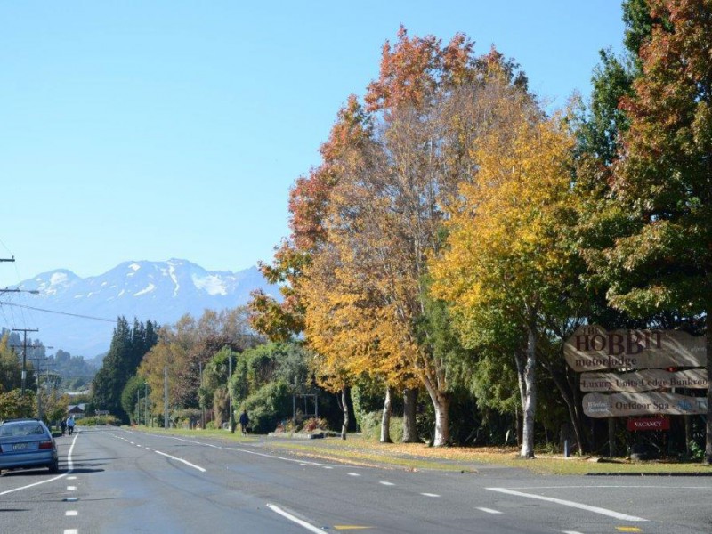 80 Goldfinch Street, Ohakune, Ruapehu, 0 habitaciones, 0 baños, Hotel Motel Leisure