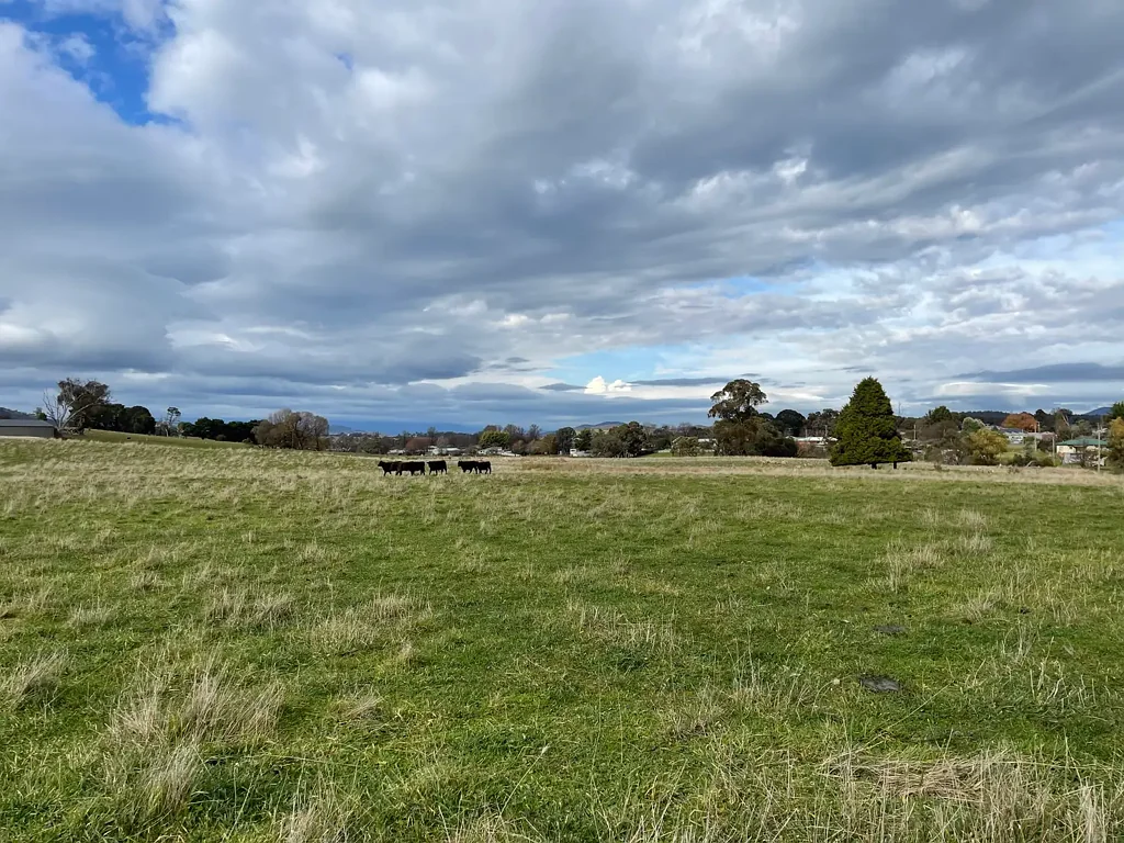 Tumbarumba Land Development Opportunity General Residential + Large Lot Residential Zoned