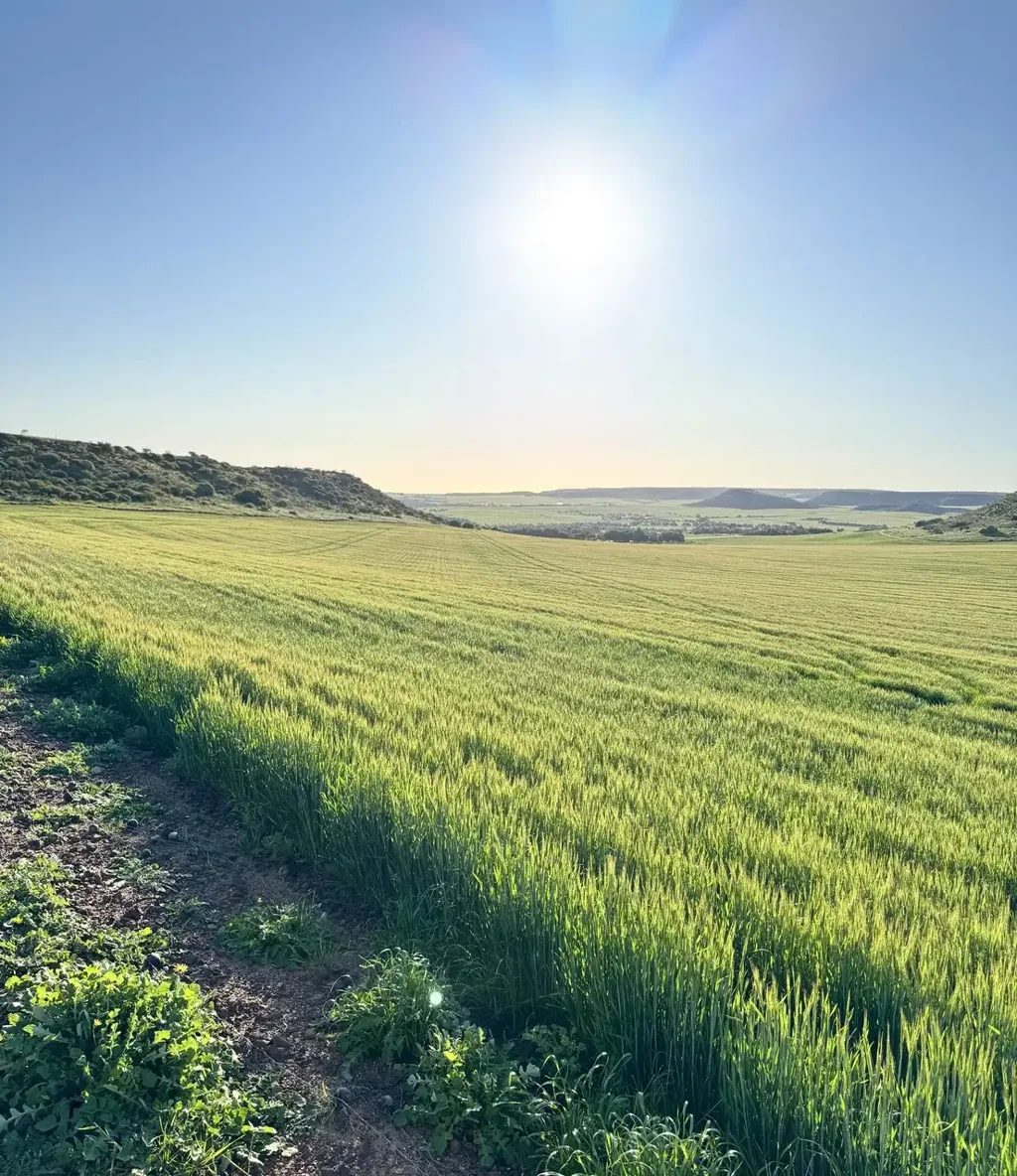 Narra Tarra Strategic, scenic and subdivision opportunity 
"MUMBEMARRA" Farm