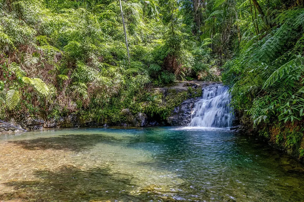 Cow Bay 3 Slaapkamer Fairy Falls - Private Access to a Hidden Waterfall in the Daintree