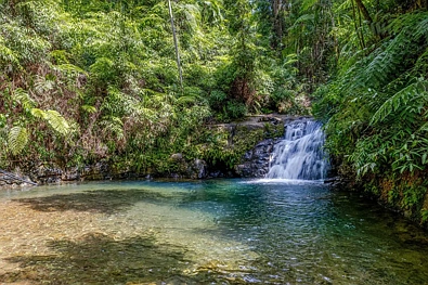 Cow Bay 3 Slaapkamer Fairy Falls - Private Access to a Hidden Waterfall in the Daintree