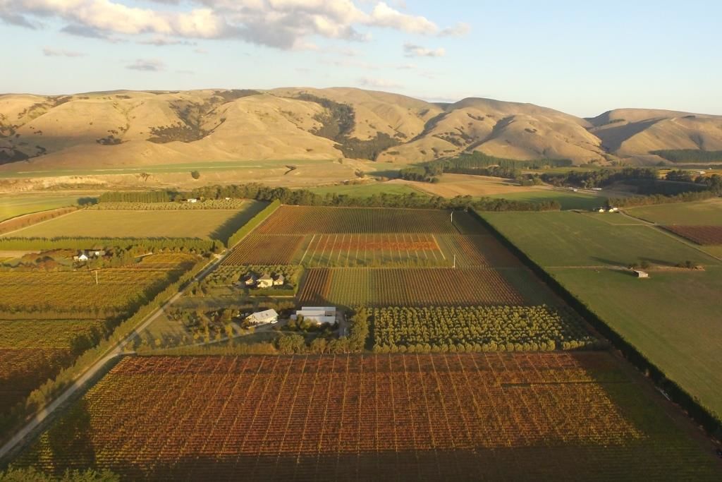 Te Muna Road, Martinborough, South Wairarapa, 0 غرف, 1 حمامات