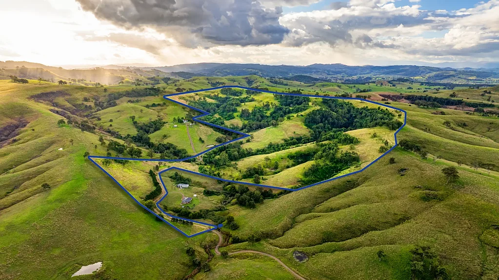 Clarence Town  'Woerdens Ridge'