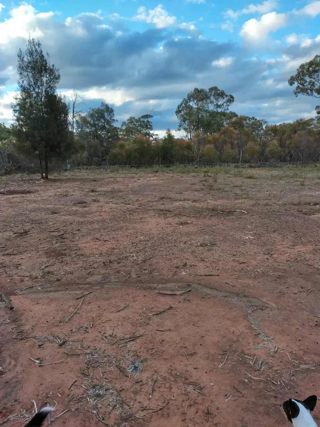 Tara Untouched piece of land