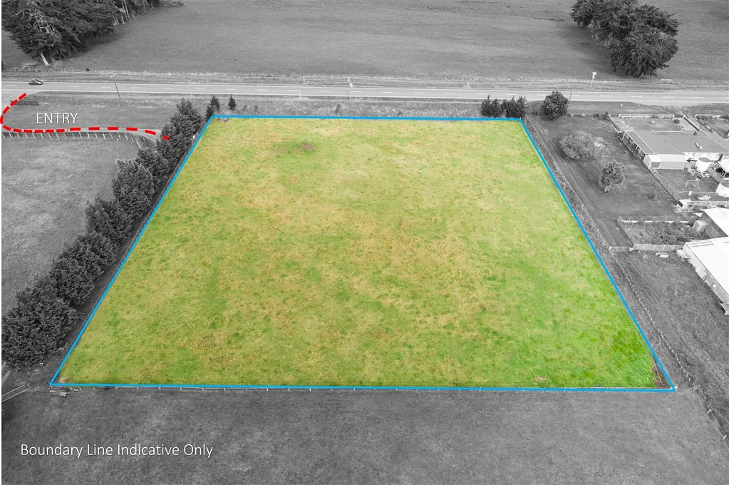 Himatangi  The World Is Your Oyster - No Covenants