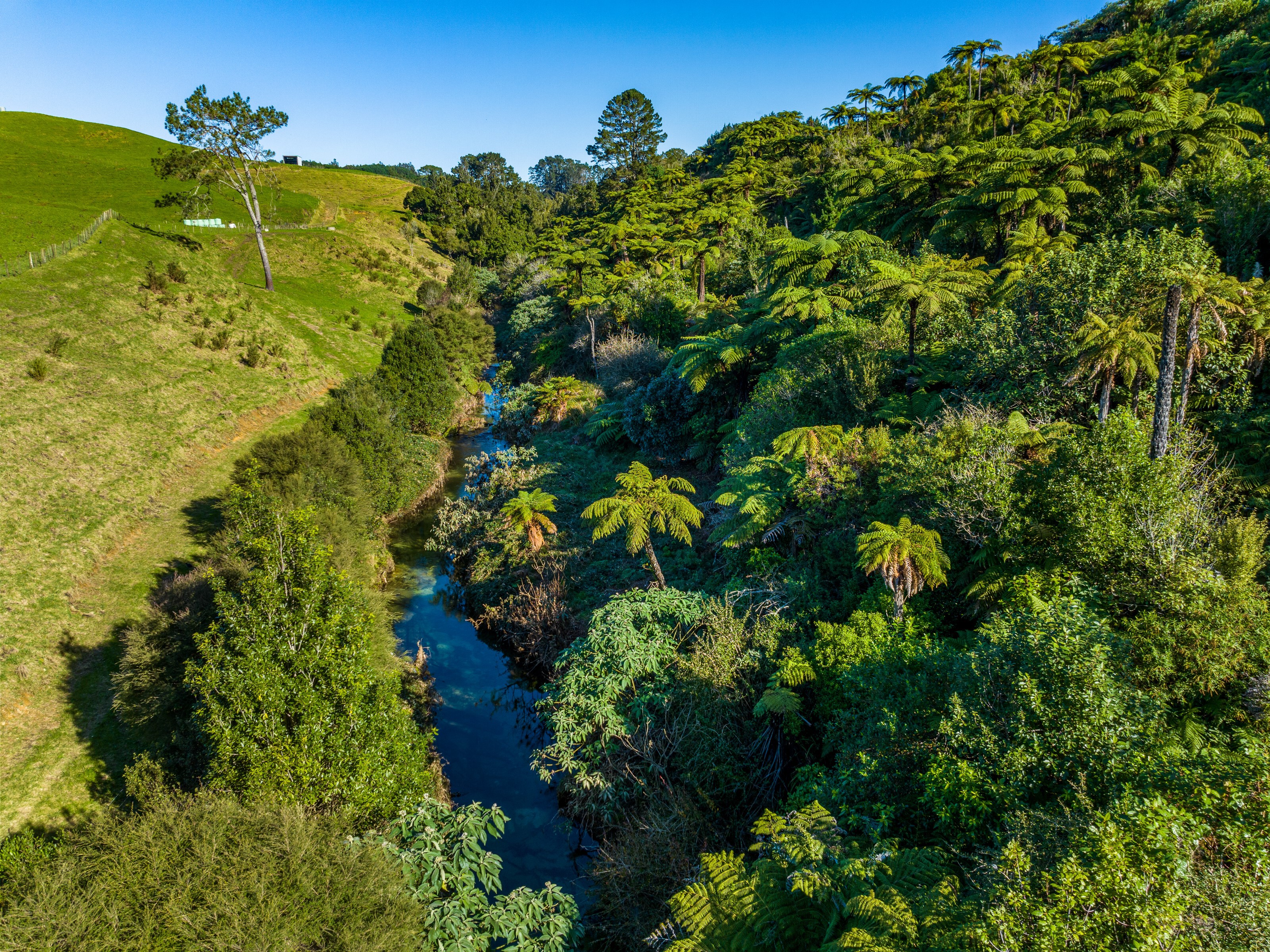 299b Whakamarama Road, Whakamarama, Bay Of Plenty, 1 rūma, 1 rūma horoi, Lifestyle Section