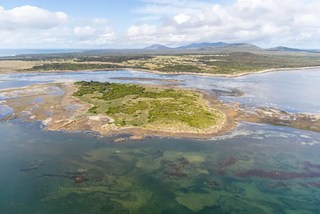 Lady Barron  Your Island, Your Legend